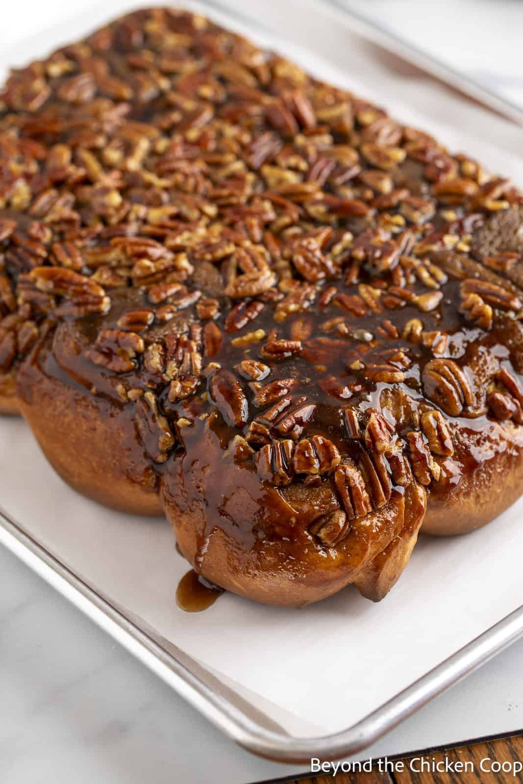 Warm sticky buns with pecans on a baking sheet.