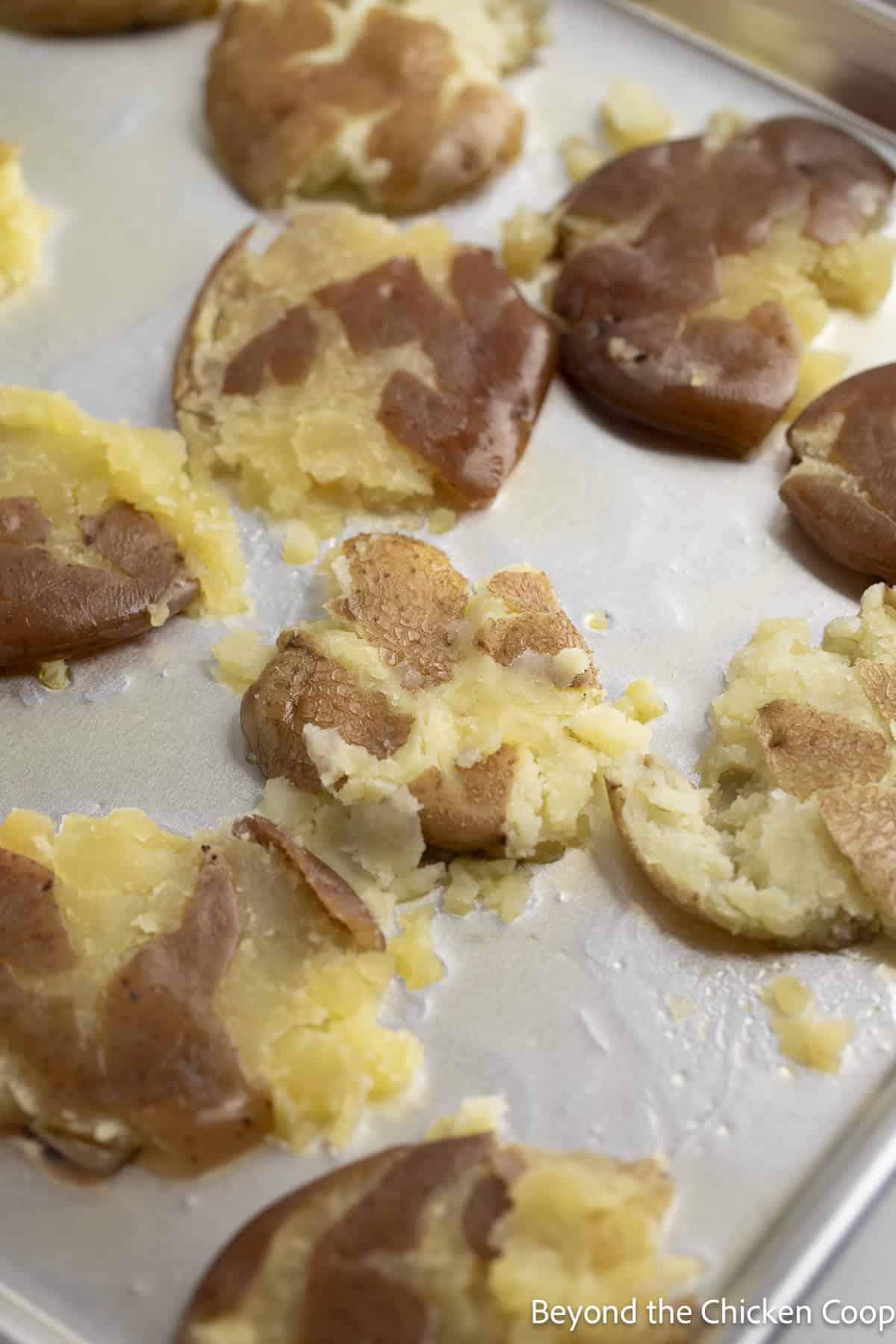 Smashed potatoes on a baking sheet.