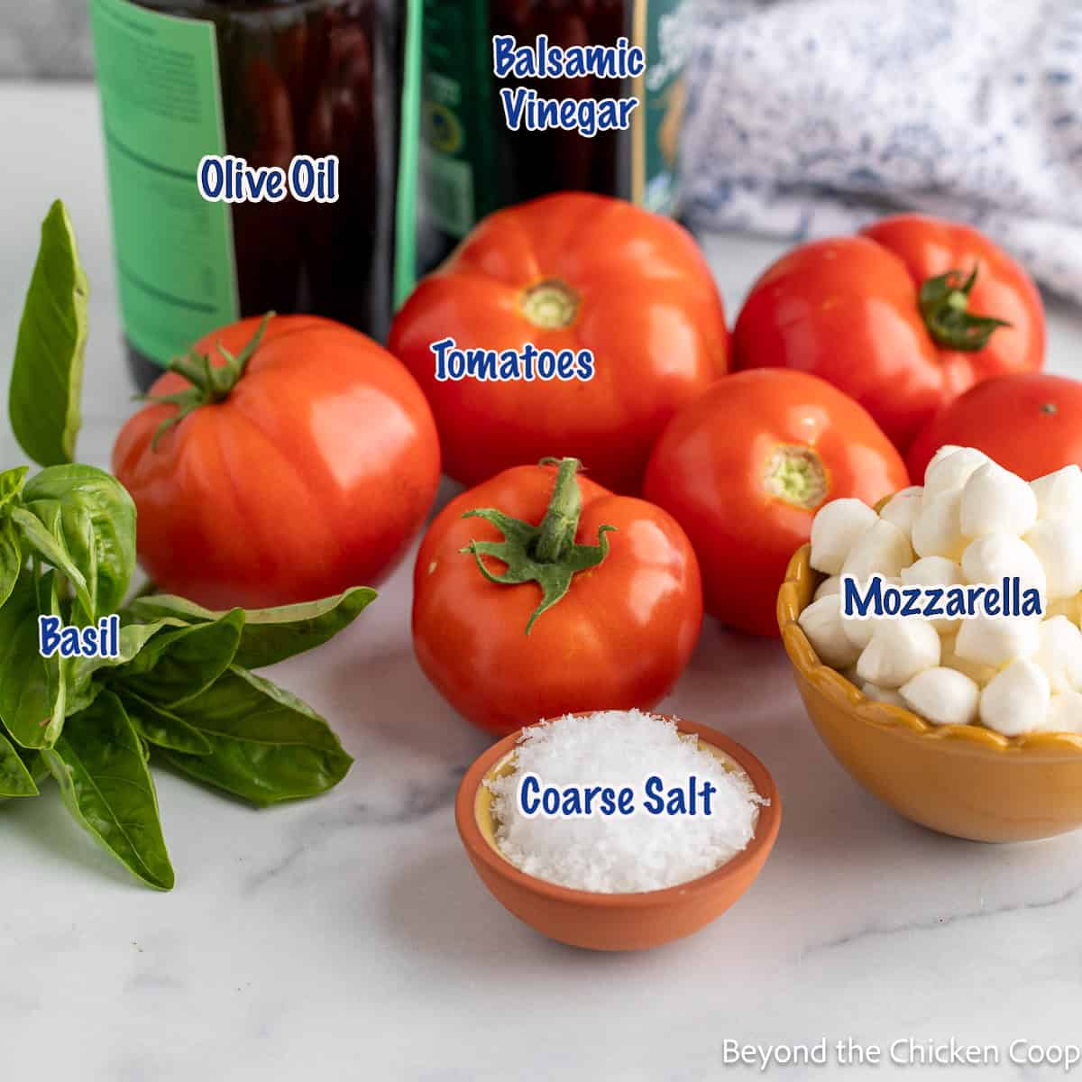Fresh tomatoes, basil, mini mozzarella balls, next to a small dish with salt.