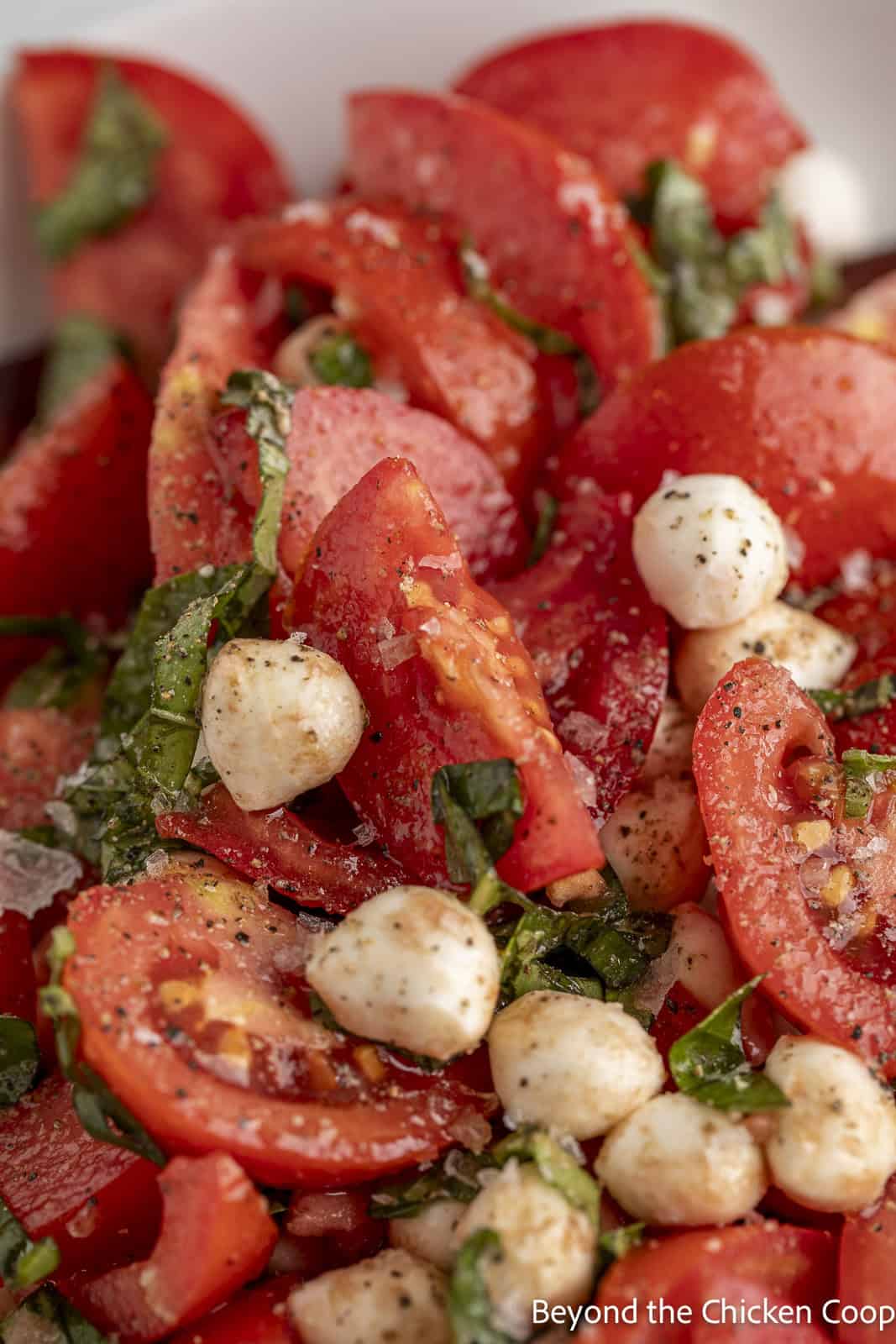 Cut tomatoes with fresh basil and small mozzarella in a bowl. 