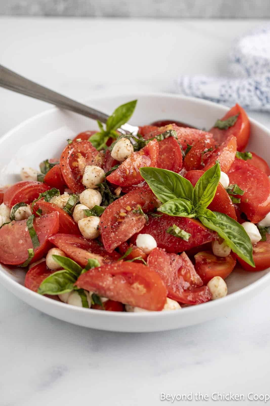 Wedge cut tomatoes with mozzarella balls and fresh basil. 