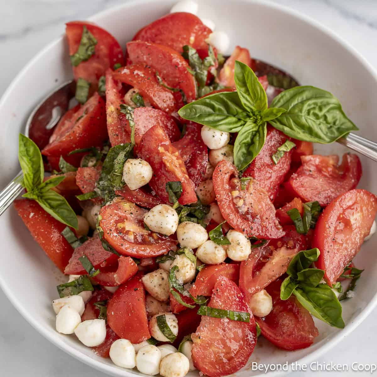Tomato Basil Salad with mozzarella in a white bowl.
