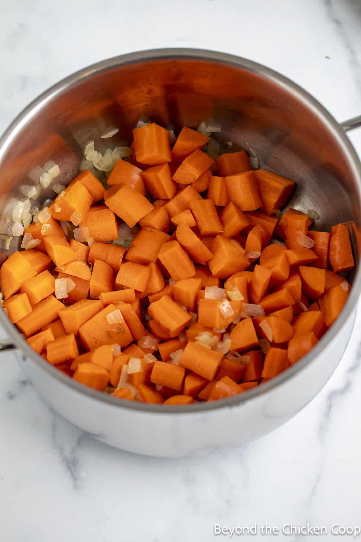 Chopped carrots in a large soup pot.