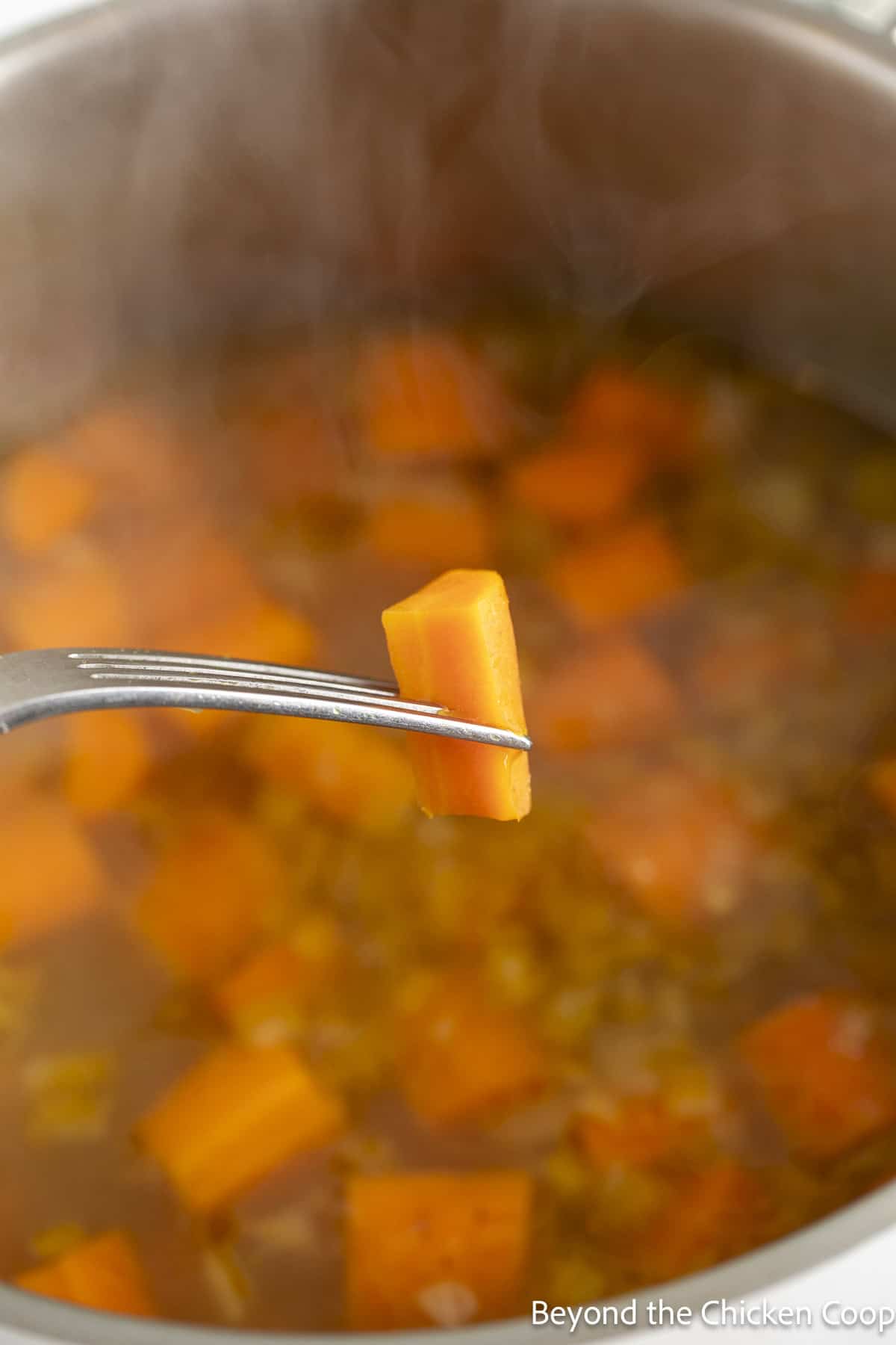Testing the doneness of a carrot with a fork.