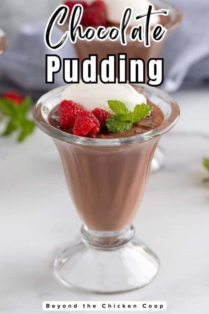 Chocolate pudding topped with whipped cream and fresh raspberries.