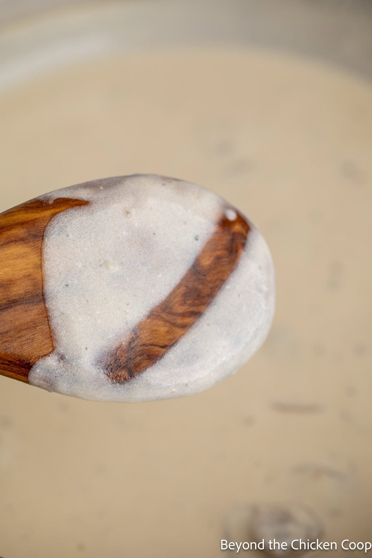 A wooden spoon covered with a white sauce.