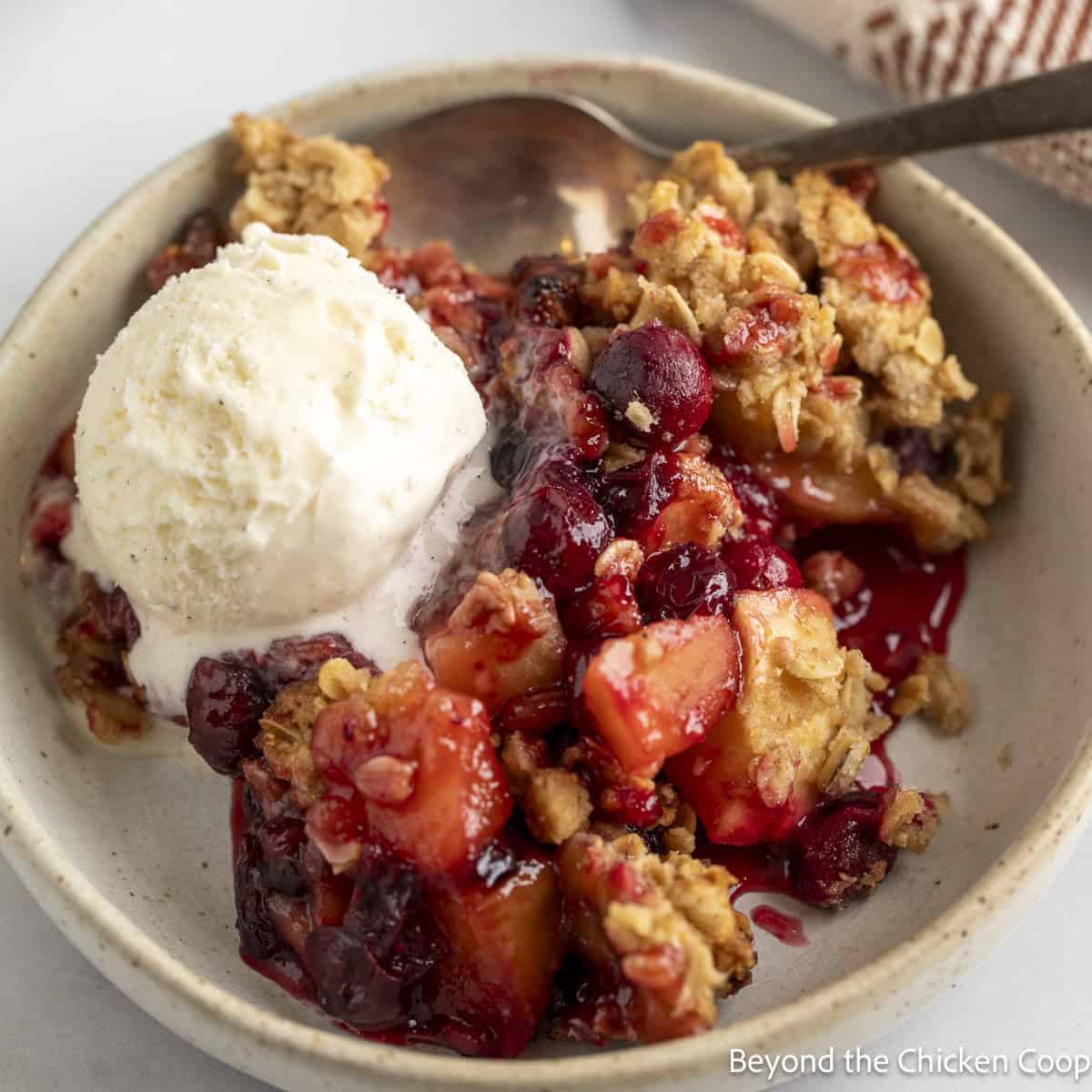 Cranberry Apple Crisp with a scoop of vanilla ice cream.