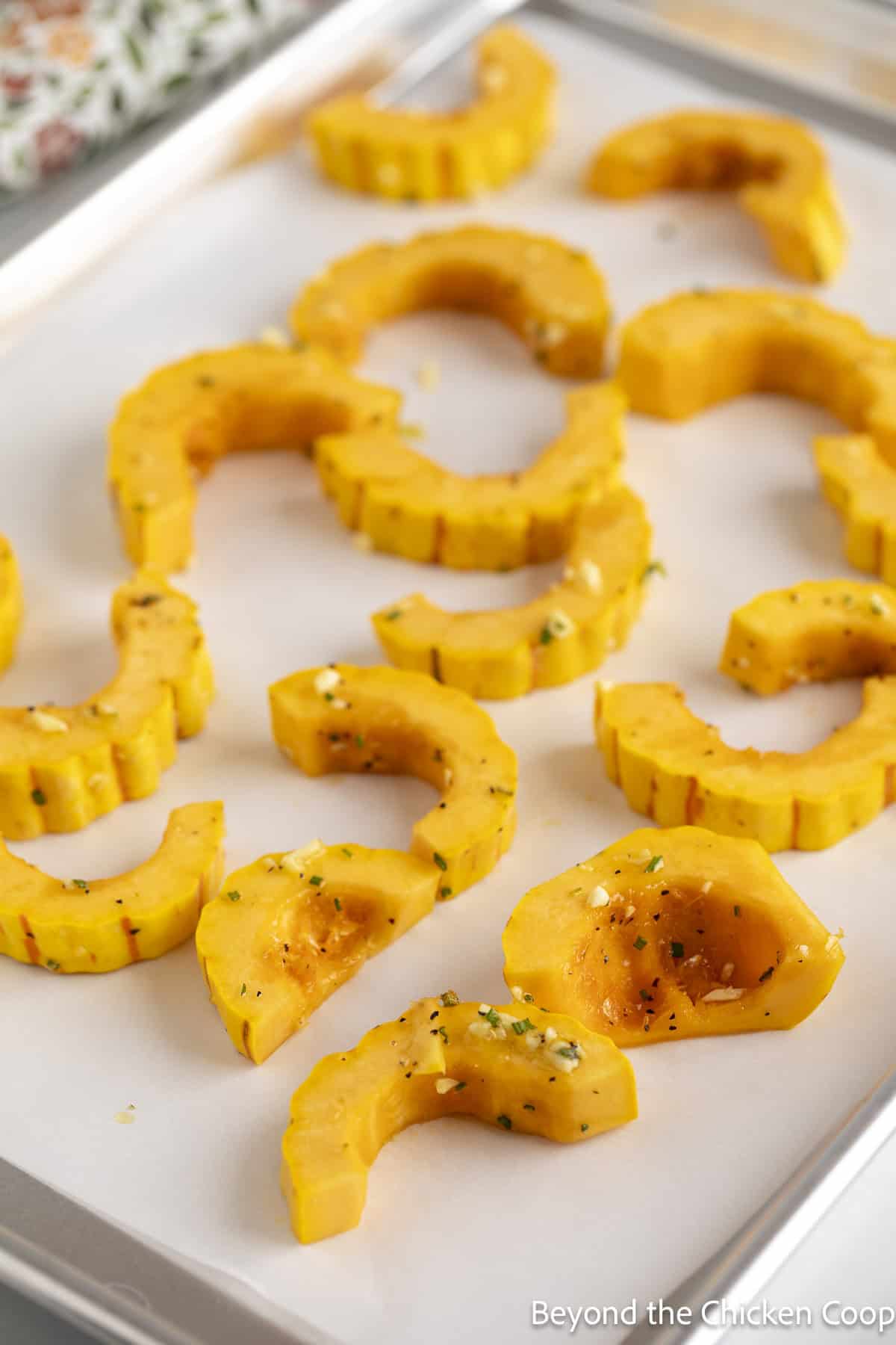 Slices of squash on a baking sheet lined with parchment paper.