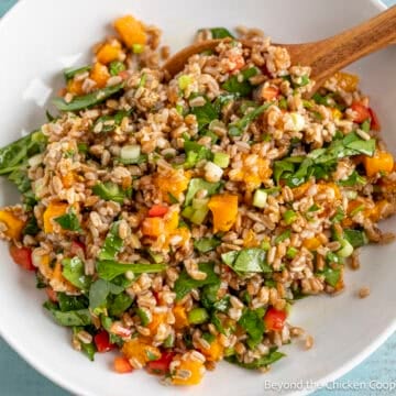 Farro Salad with roasted butternut squash and spinach in a white bowl.