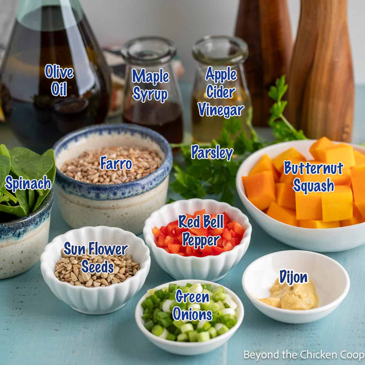 Small bowls filled with ingredients for making a salad with farro and butternut squash.