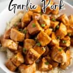 Cubed pork in a brown sauce over a bowl of rice.