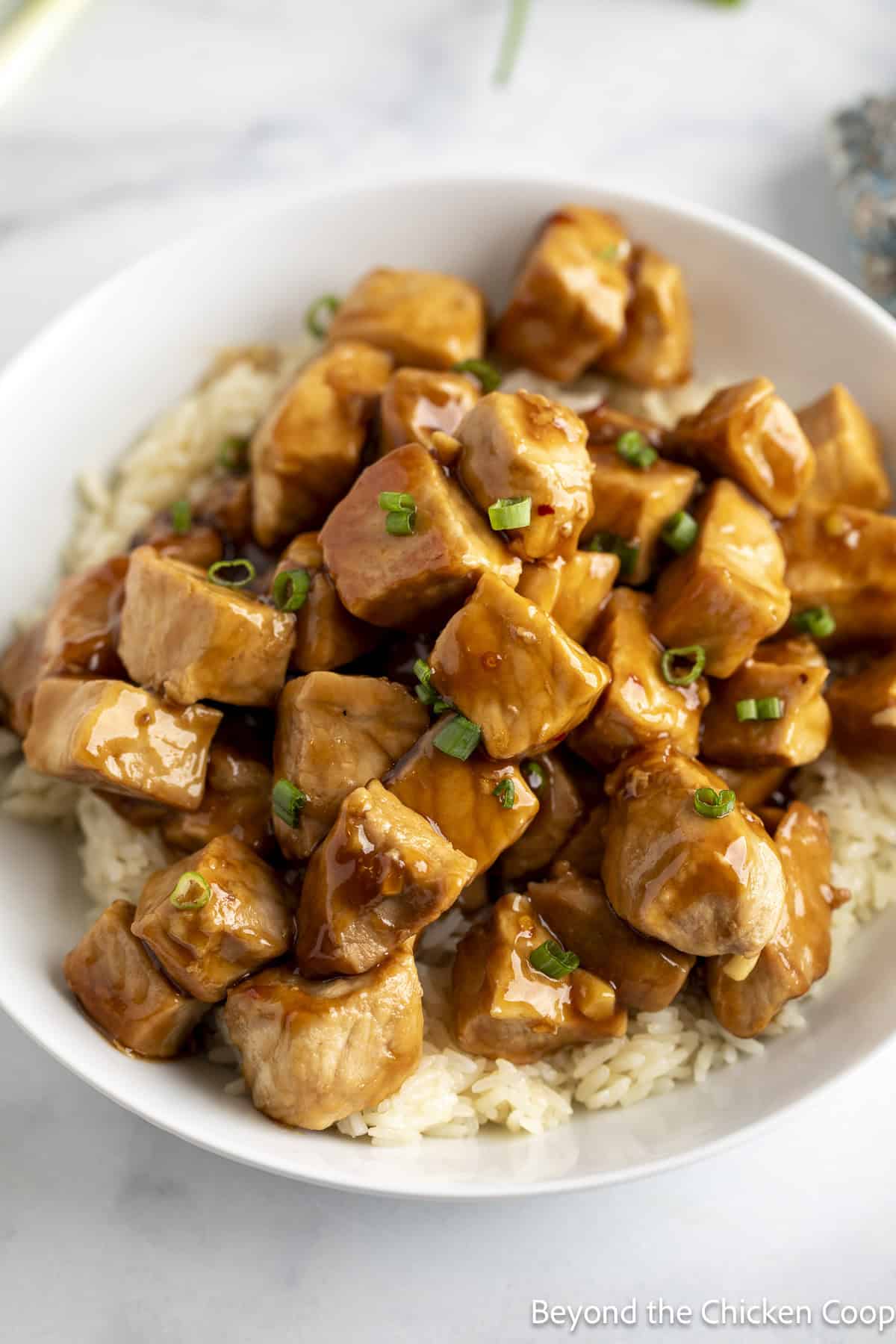 Cubes of pork in a bowl with white rice.