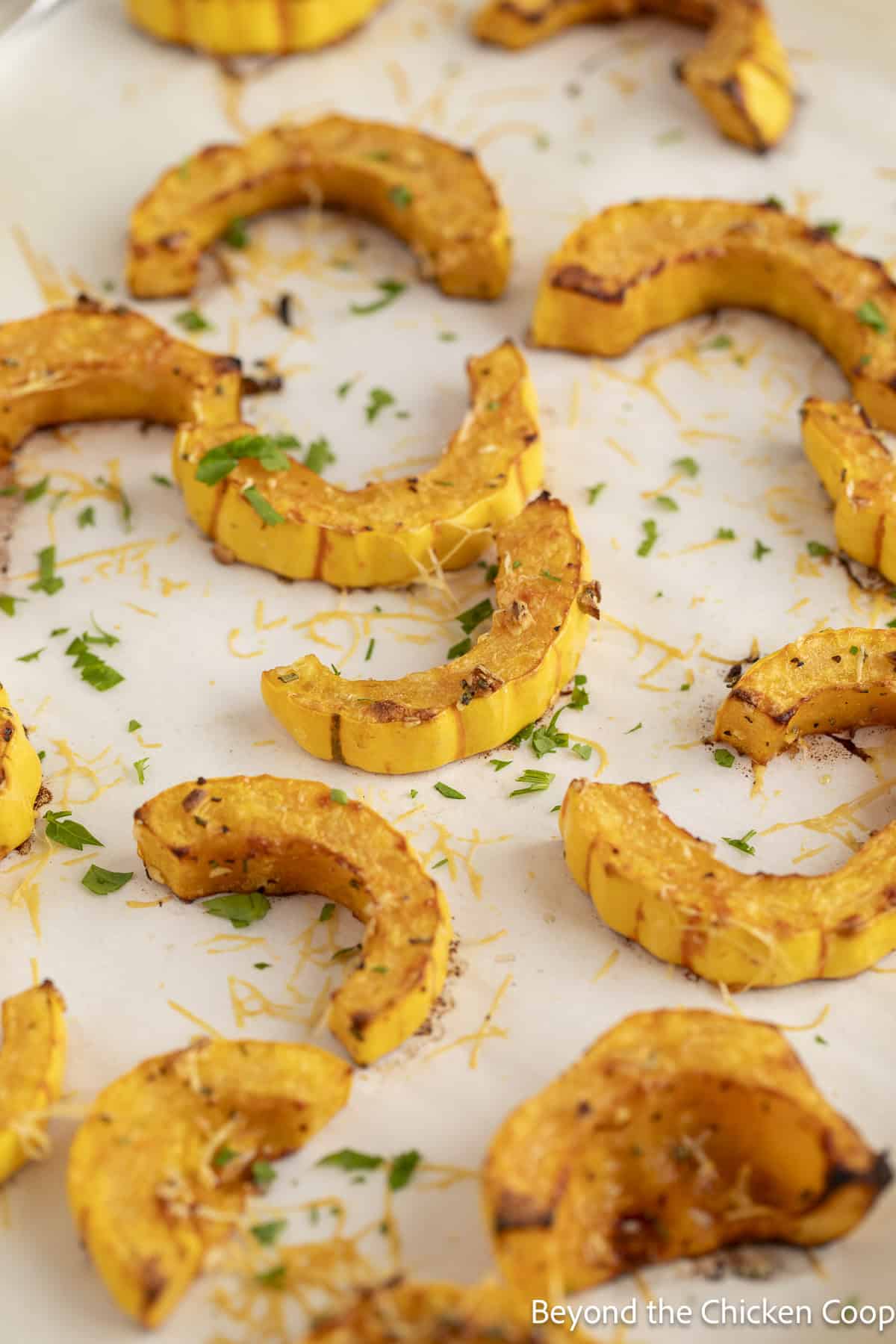 Roasted squash topped with fresh parsley.