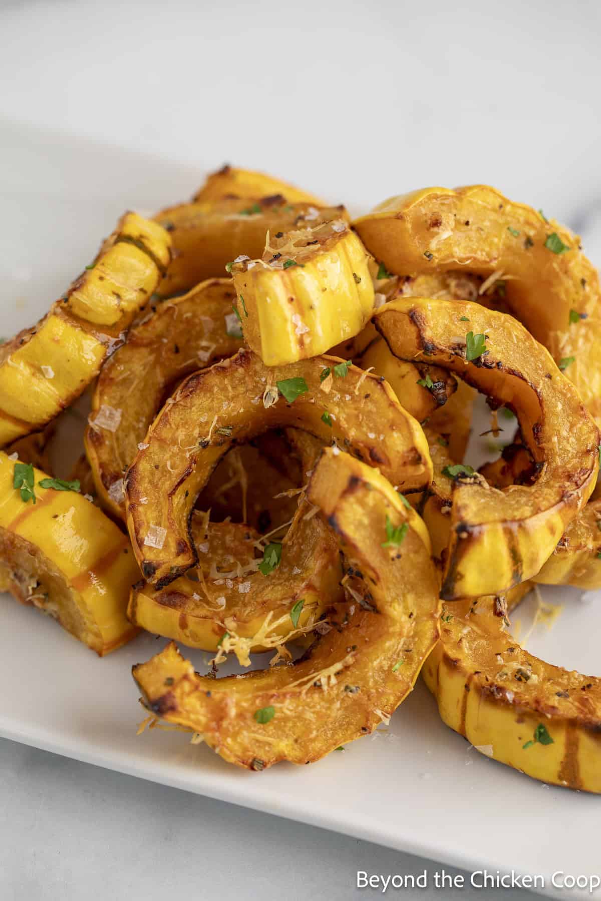 Sliced delicata squash piled on a white plate.