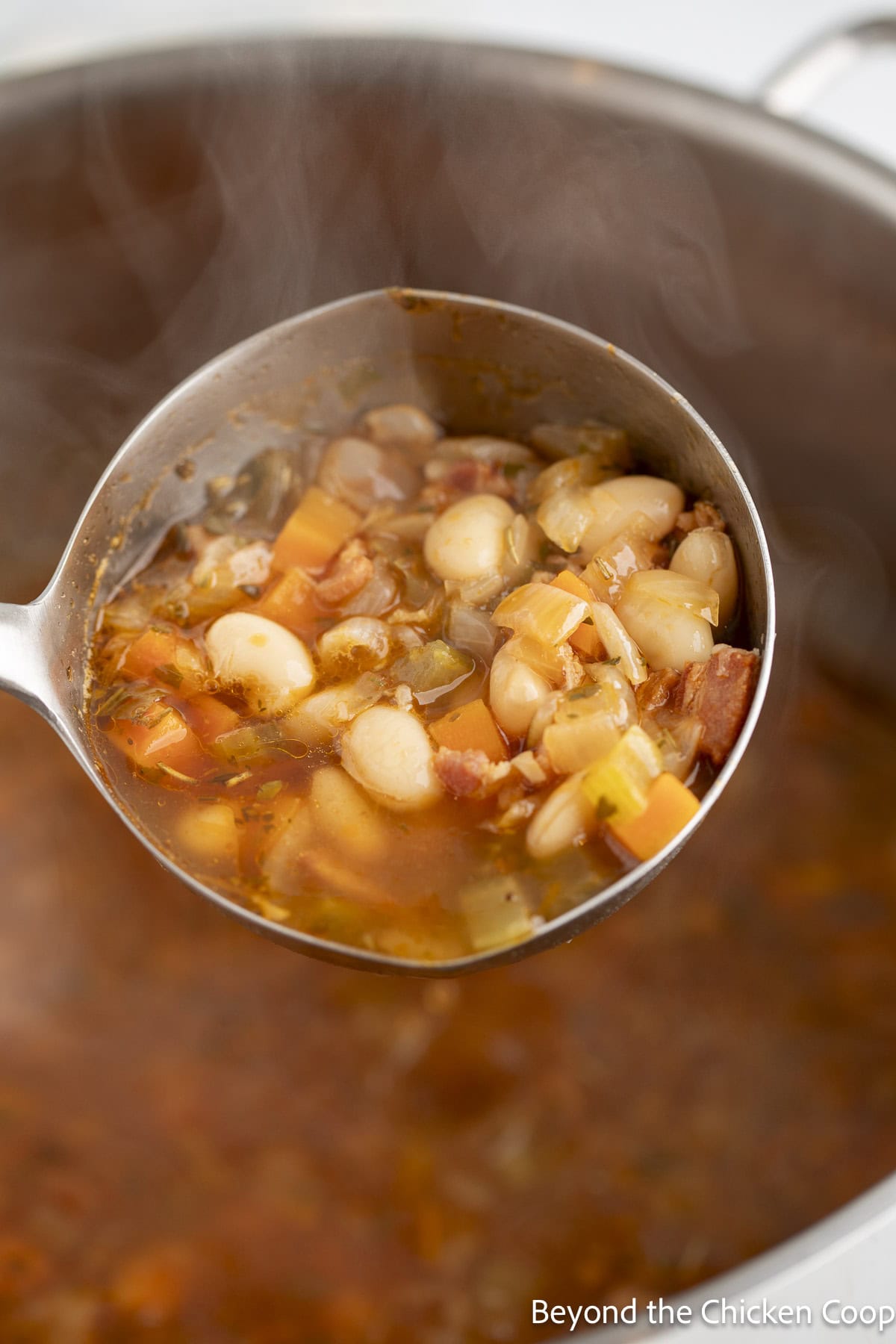 A ladle filled with white bean soup.
