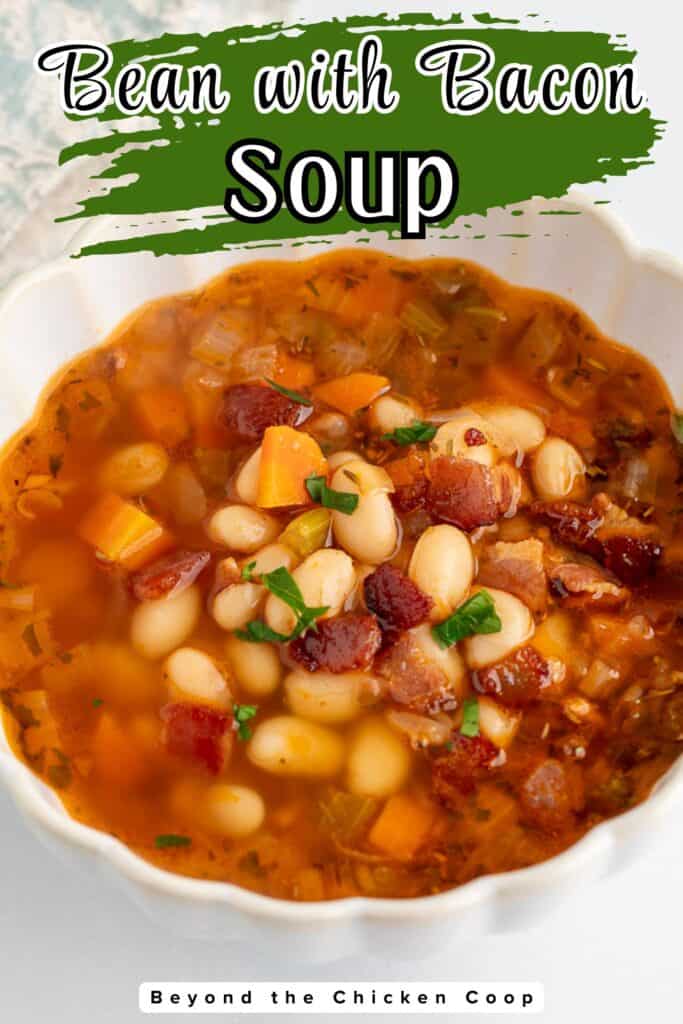 A bowl of soup with white beans.