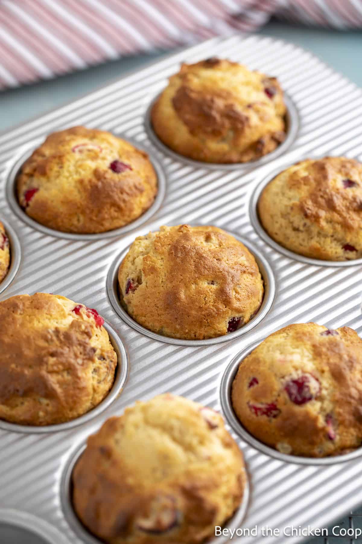 Baked cranberry muffins in a tin.