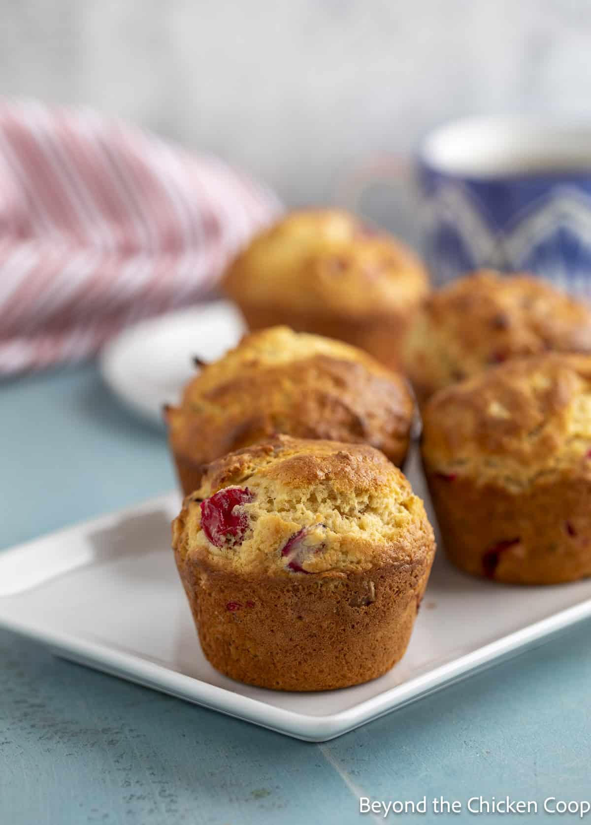 Muffins with cranberries on a white platter.