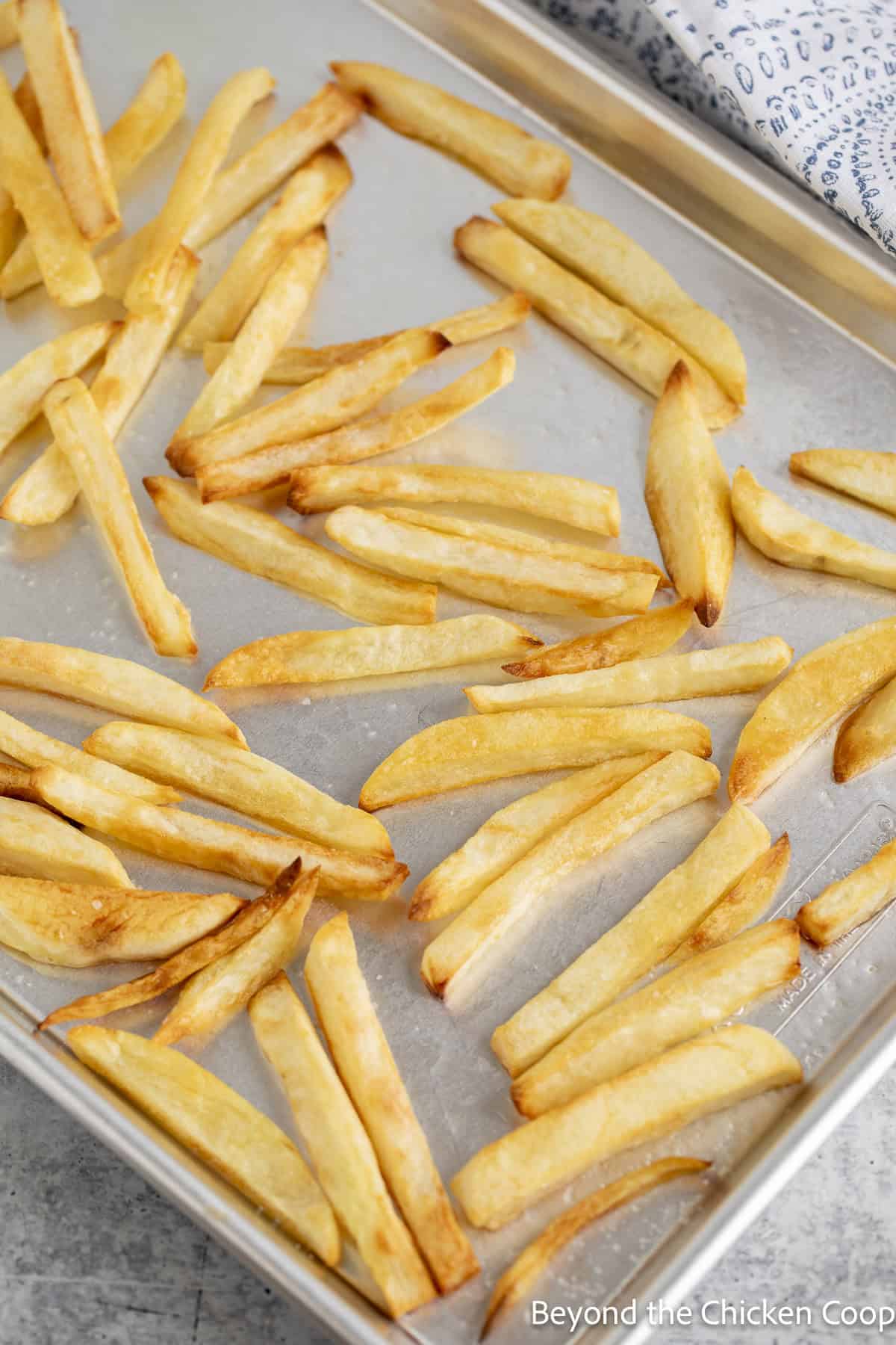 Baked fries on a cookie sheet.