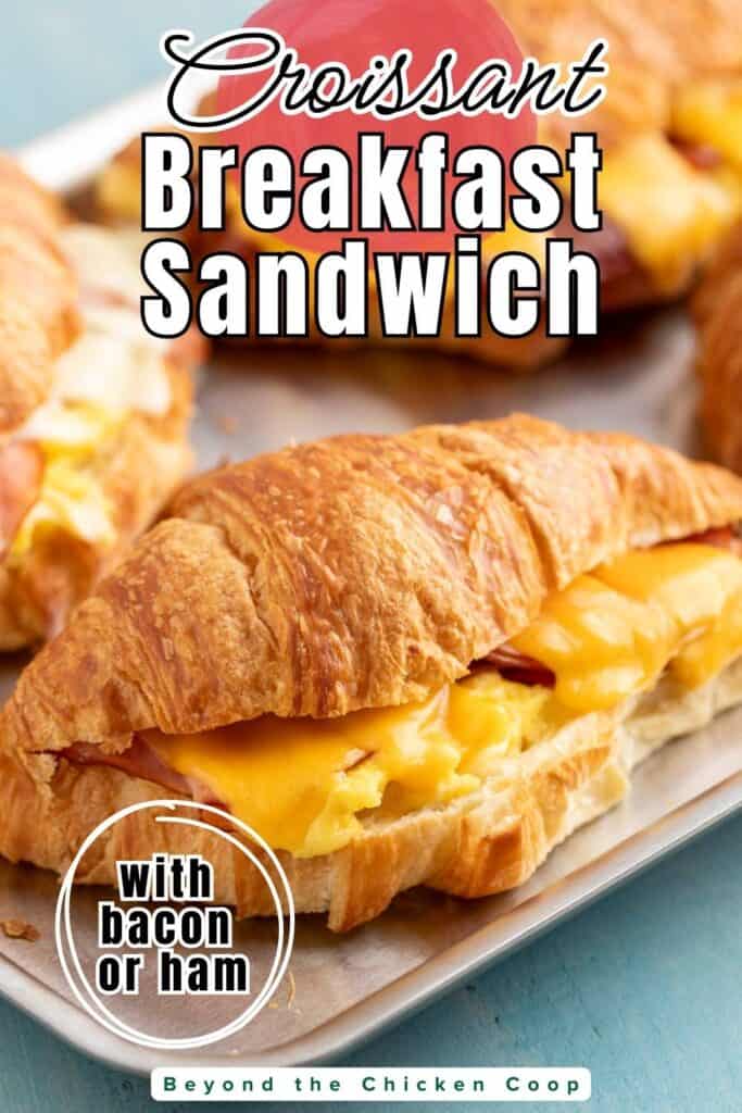 A tray filled with breakfast sandwiches.