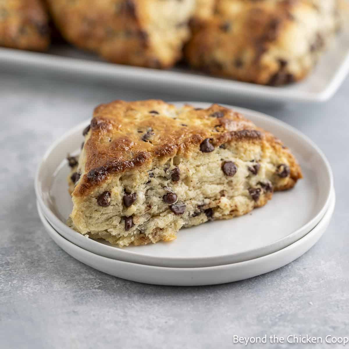 Chocolate Chip Scone on a small white plate.