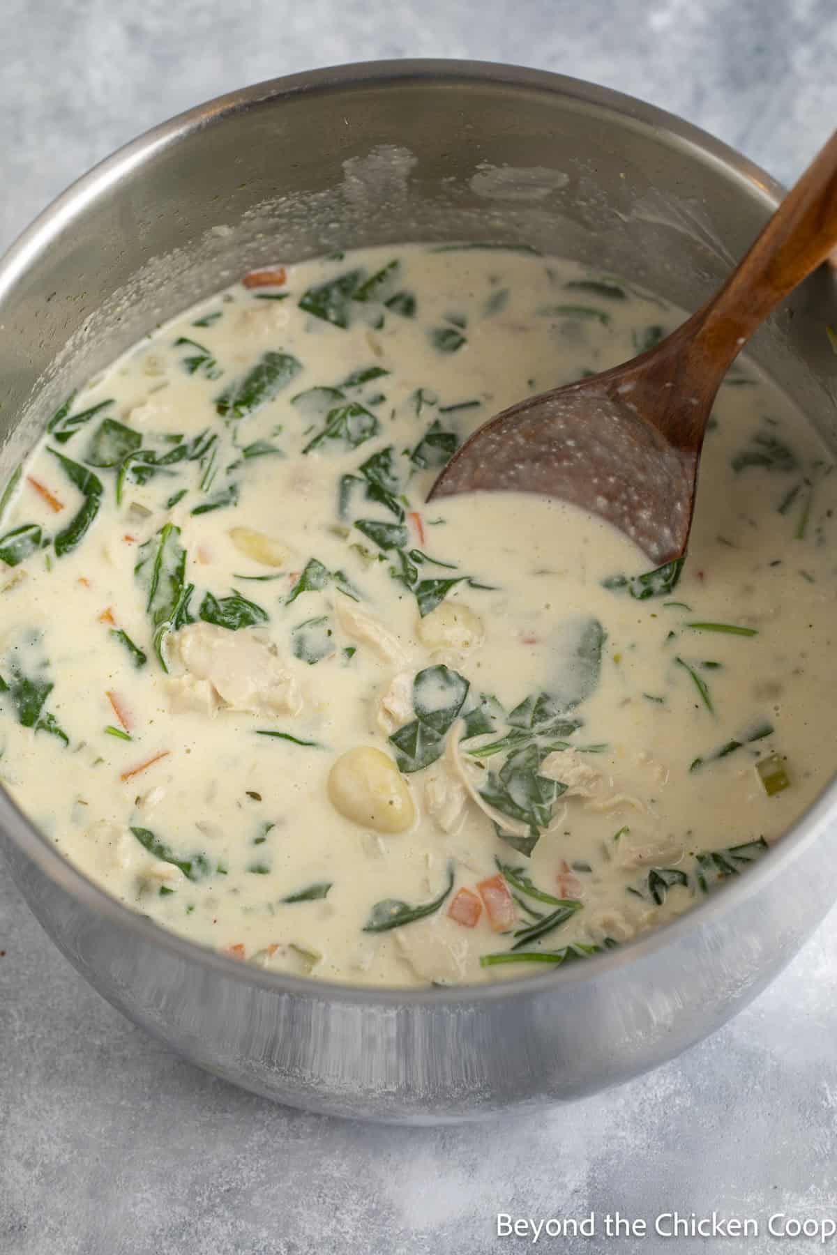 Gnocchi soup with chicken and spinach in a stockpot.