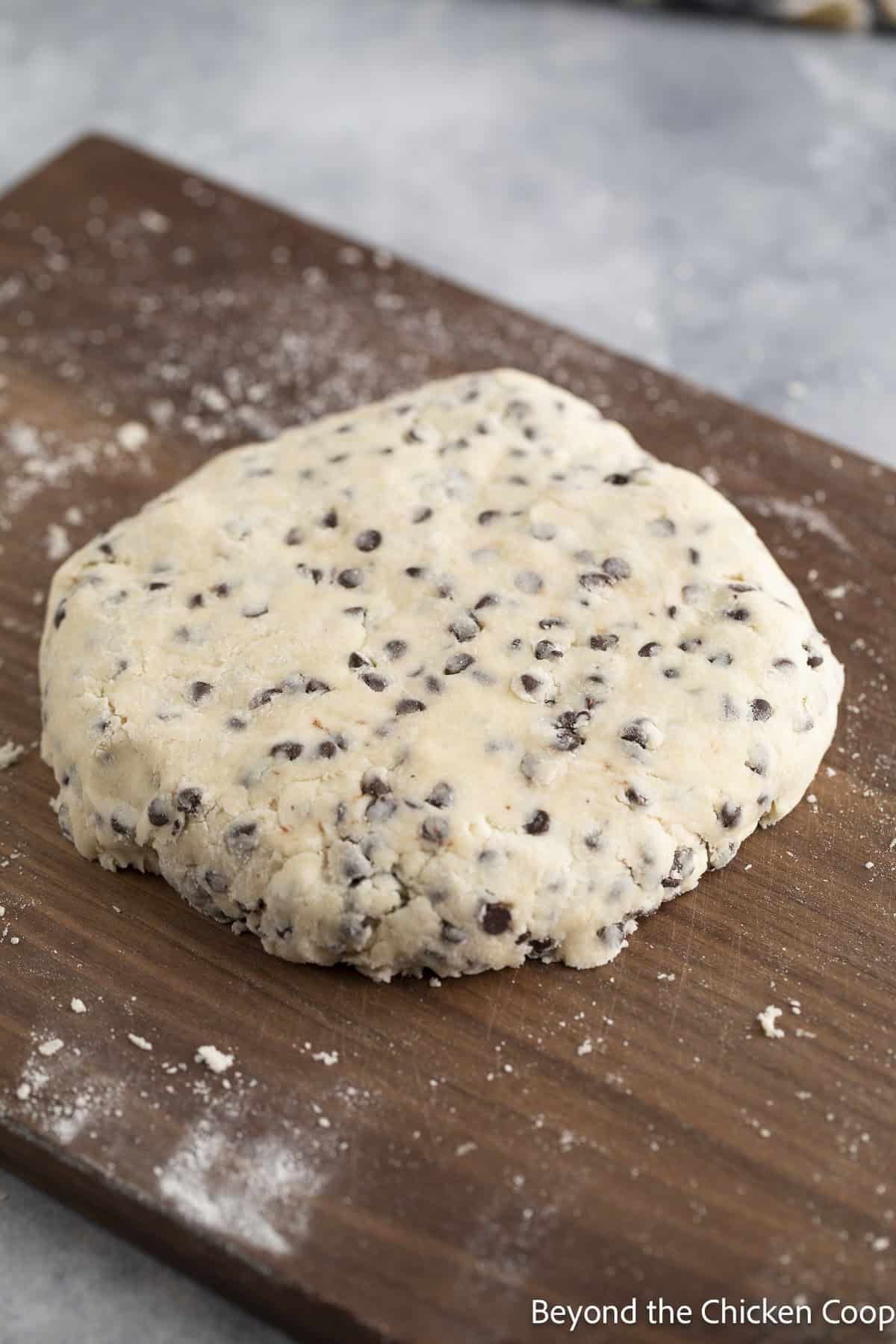 A round disc of chocolate chip scone dough.