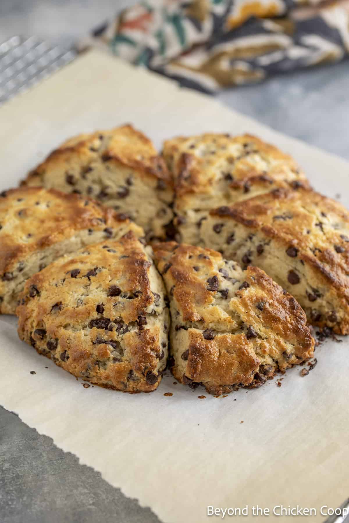Baked scones on a baking sheet.
