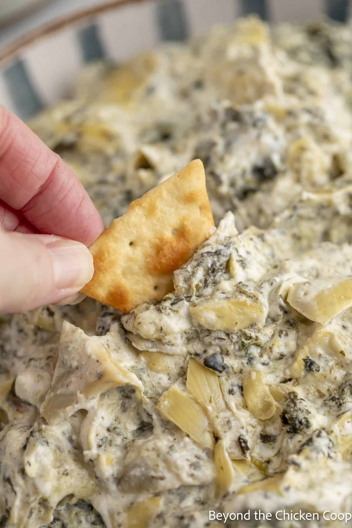 Scooping up some creamy dip with a pita chip.
