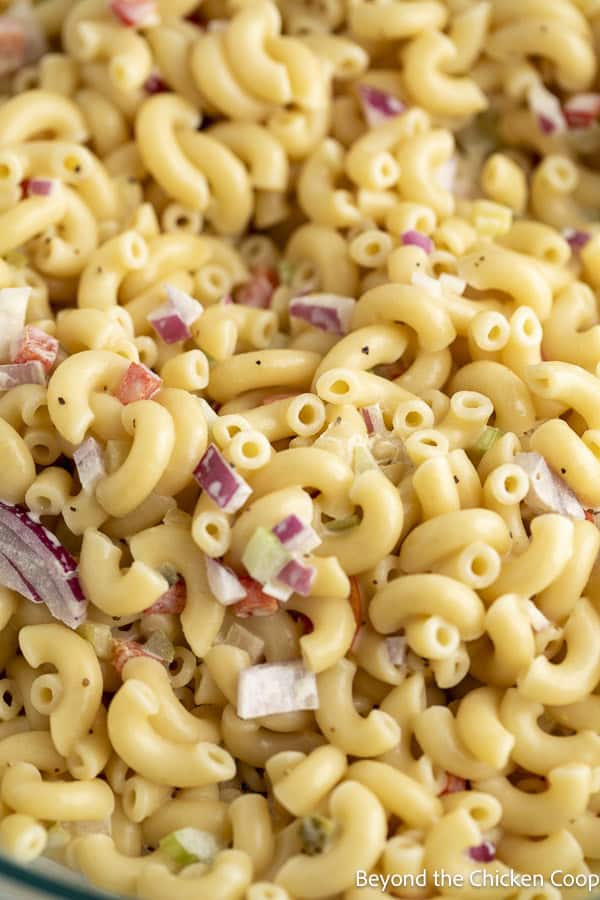Close up shot of macaroni pasta salad.