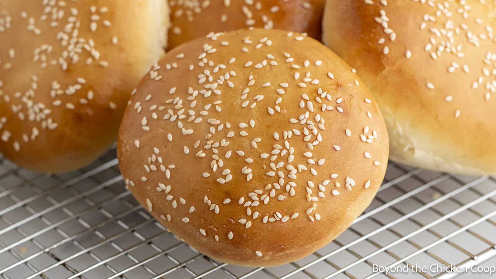 Homemade hamburger buns with sesame seeds on a baking rack.