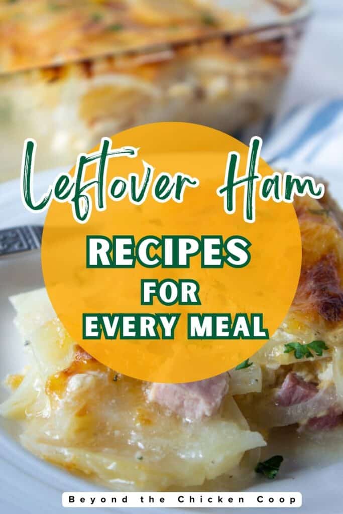 Scalloped potatoes with leftover ham on a plate.