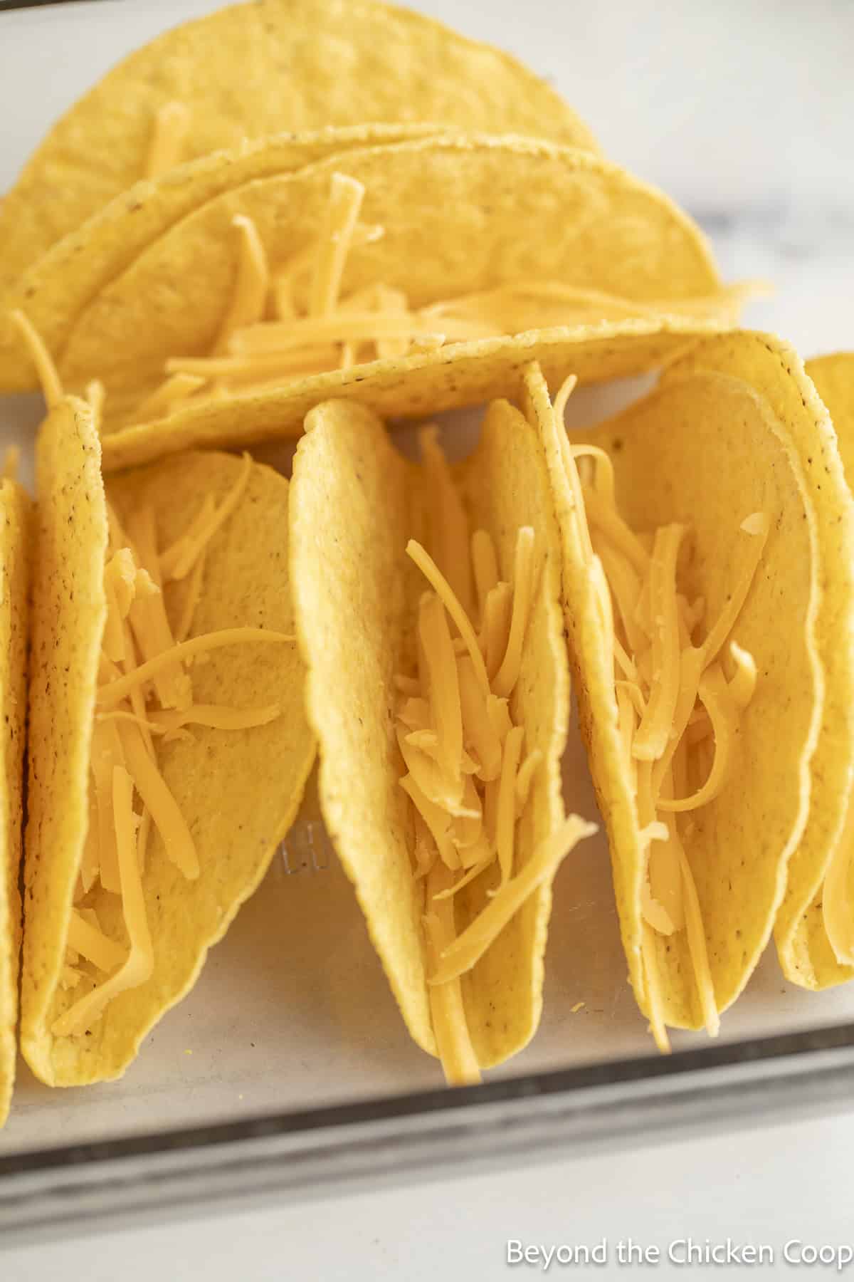Shredded cheese in the bottom of hard taco shells.