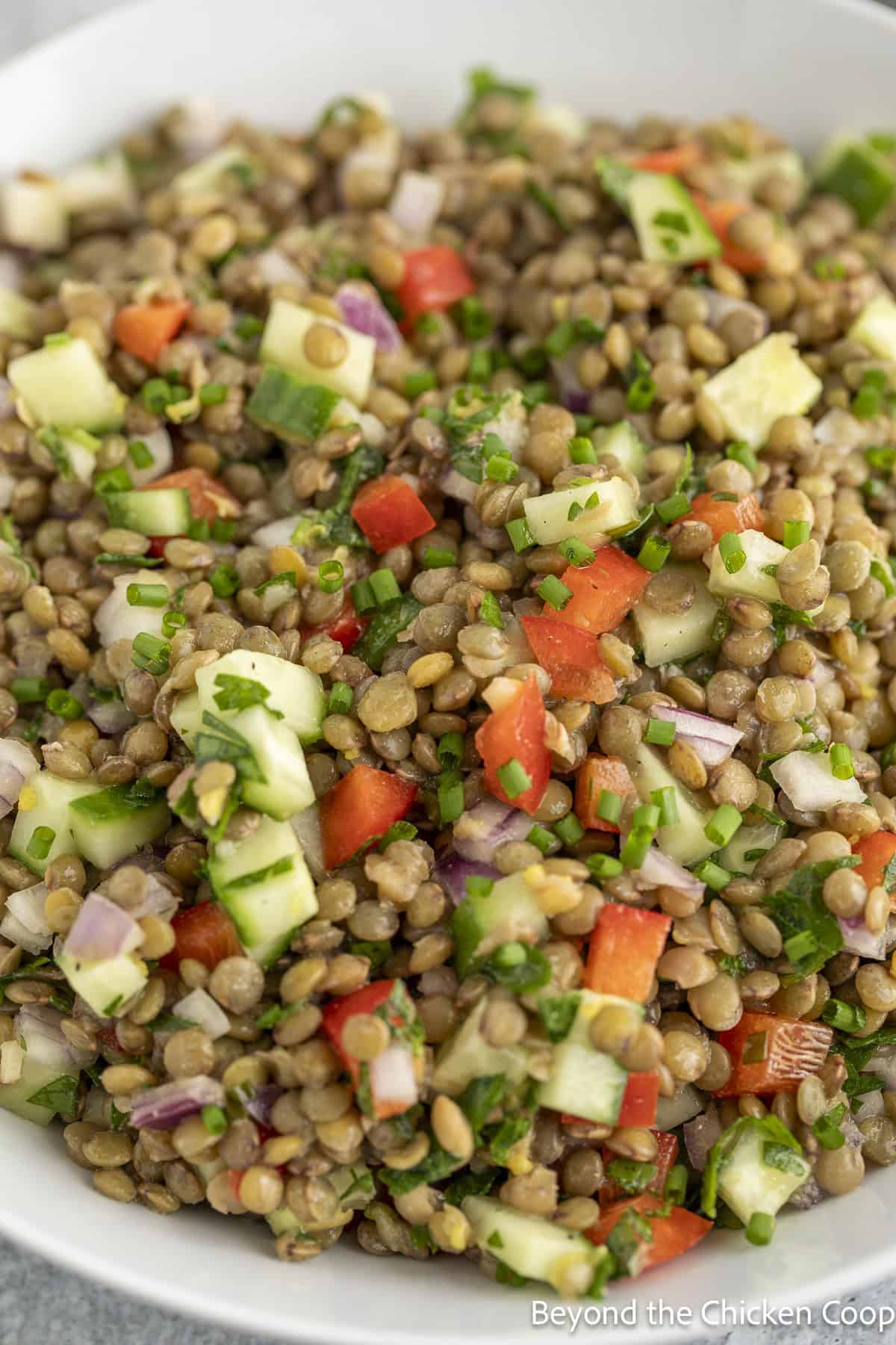 A close up shot of green lentils with cucumbers and bell peppers in a bowl.