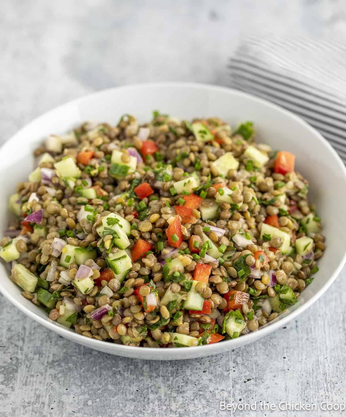 Lentil salad with peppers and cucumbers in a white bowl.