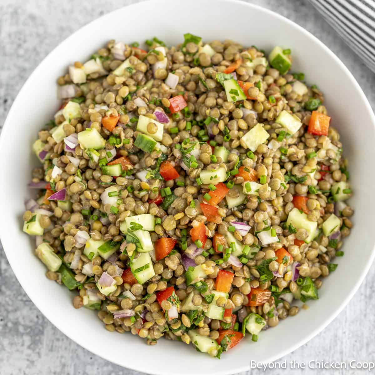 Lentil Salad in a white bowl. 