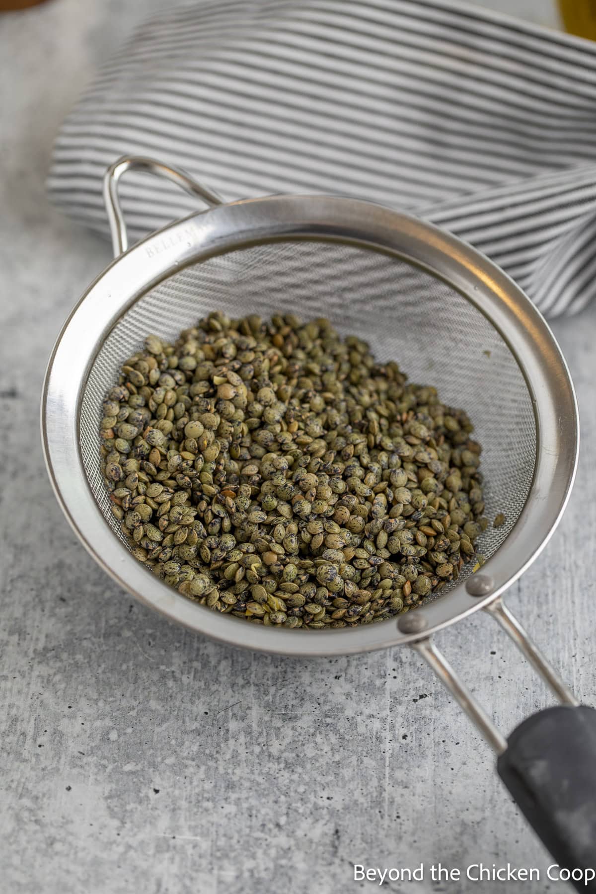 Green lentils in a sieve.
