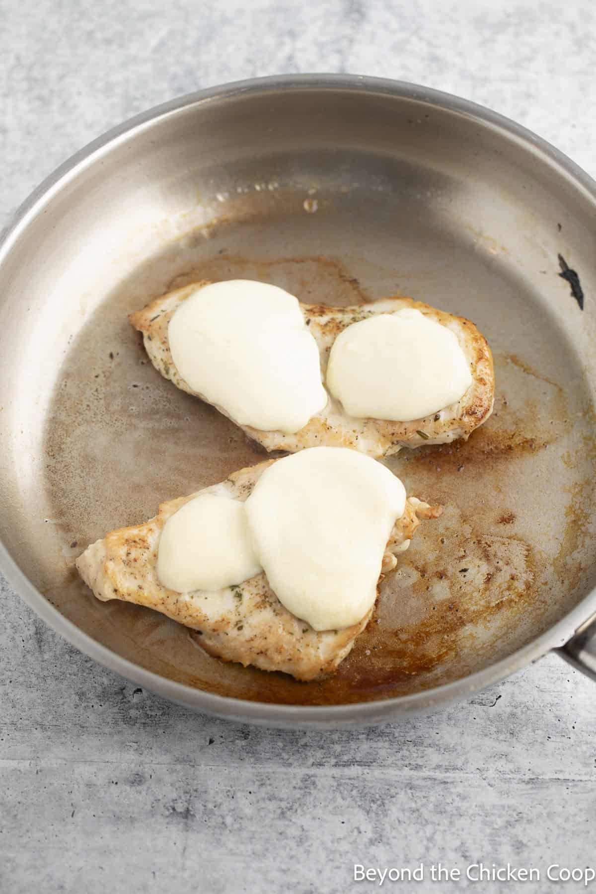 Mozzarella on chicken in a skillet.