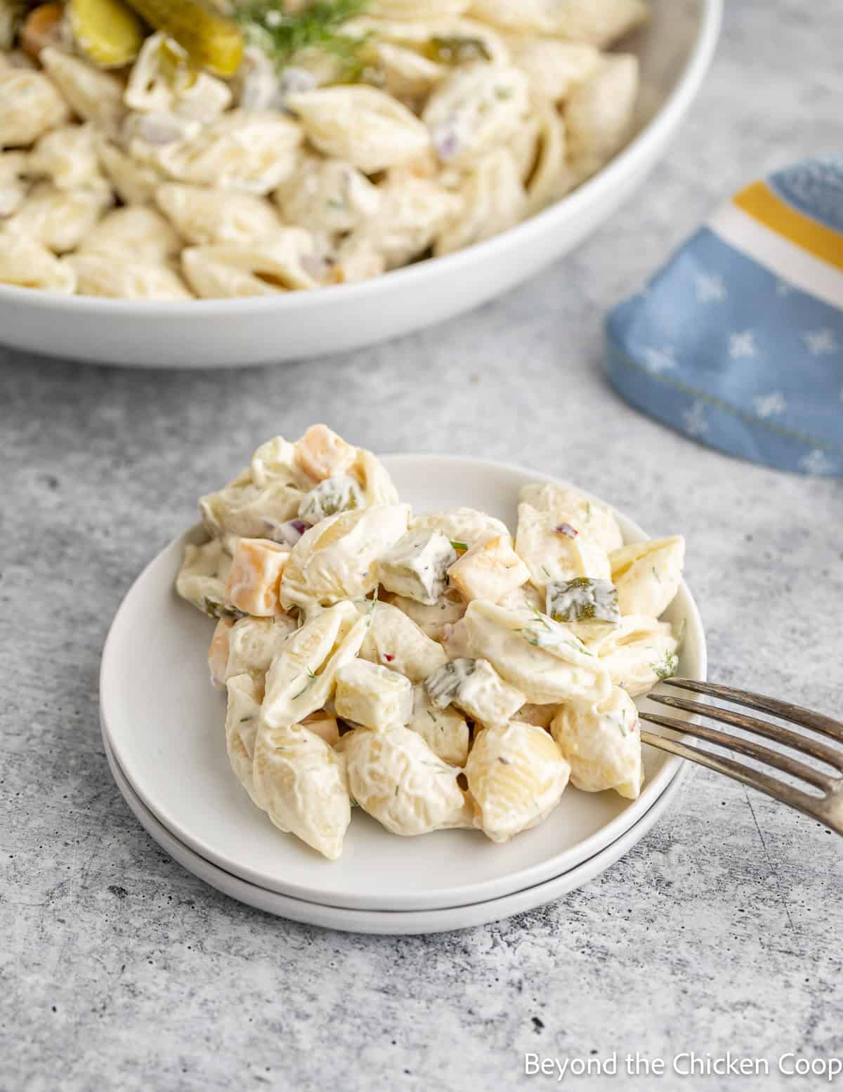 Pasta salad with small pasta shells, pickles, and cheese.