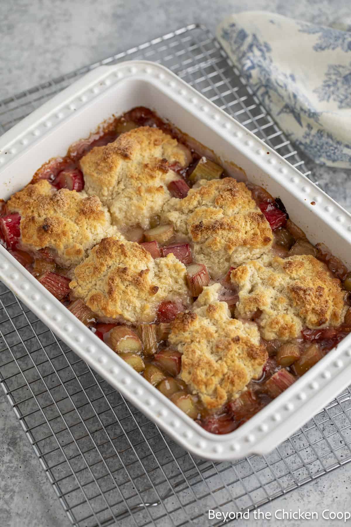 Baked rhubarb cobbler in a white baking dish.