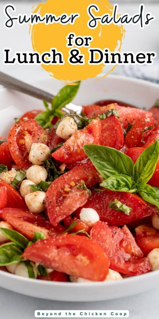 Tomato wedges, fresh basil, and small mozzarella balls mixed together in a bowl.