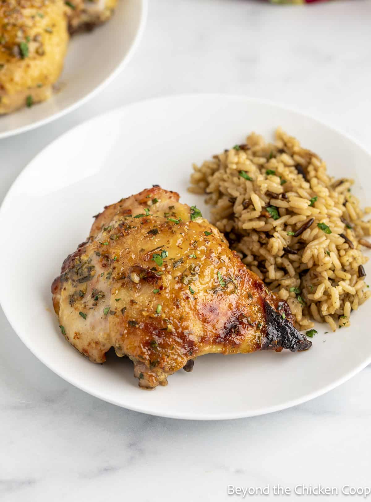 A baked chicken thigh on a plate with a side of rice.