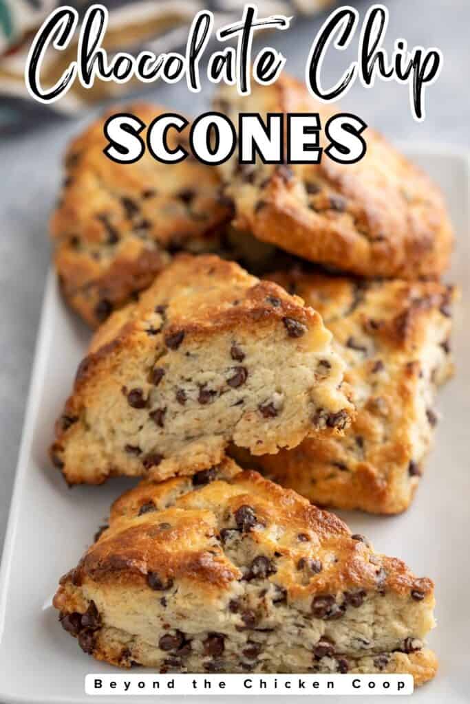 A tray filled with scones with chocolate chips.