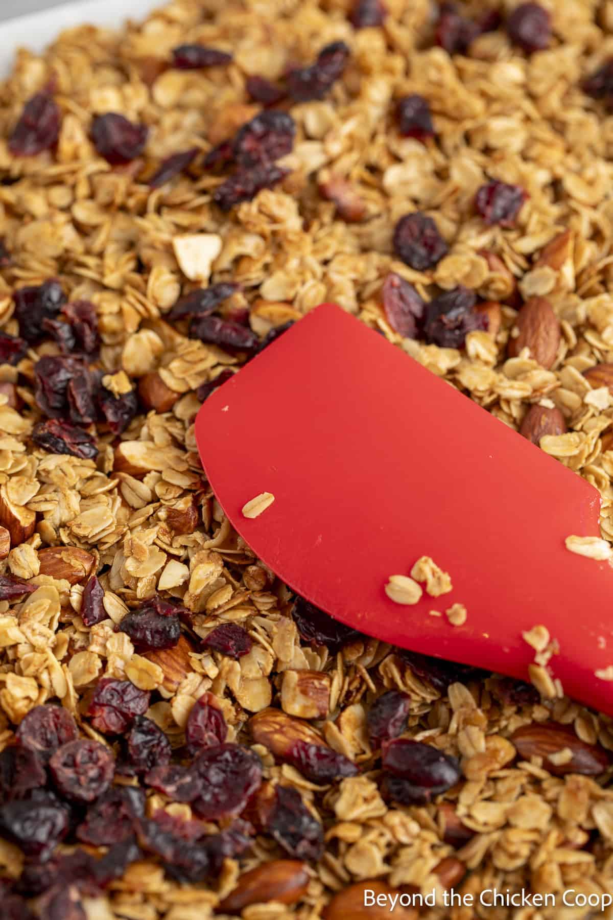Granola with dried cranberries and almonds on a baking sheet.
