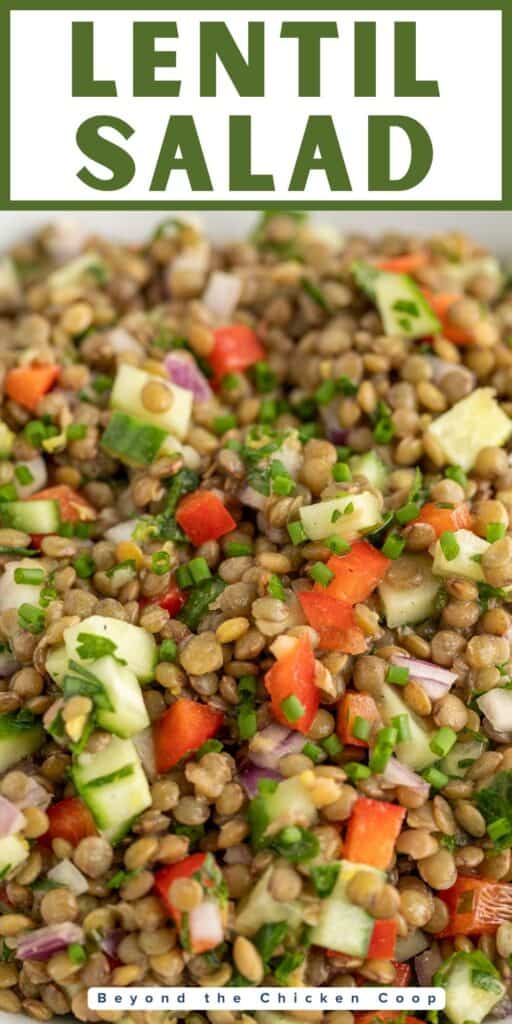 Green lentils, cucumbers, and bell peppers combined together in a salad.