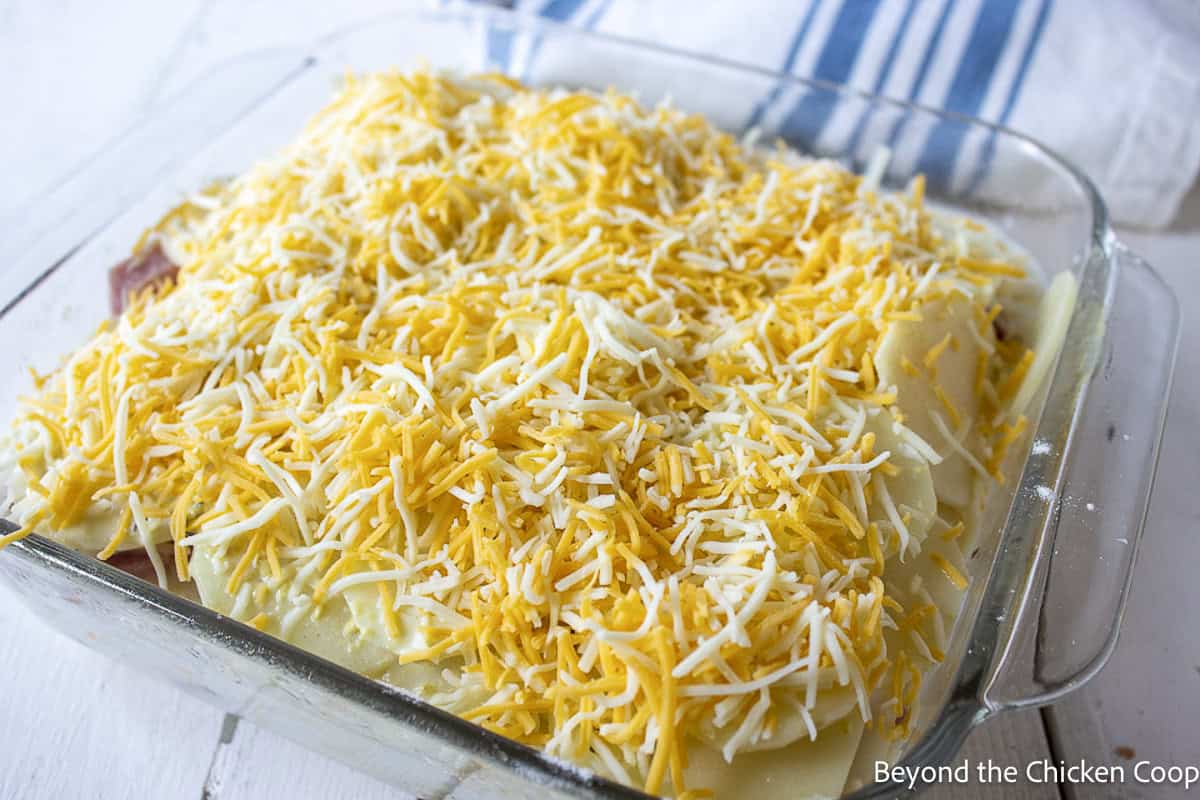 A layer of shredded cheese on a casserole.