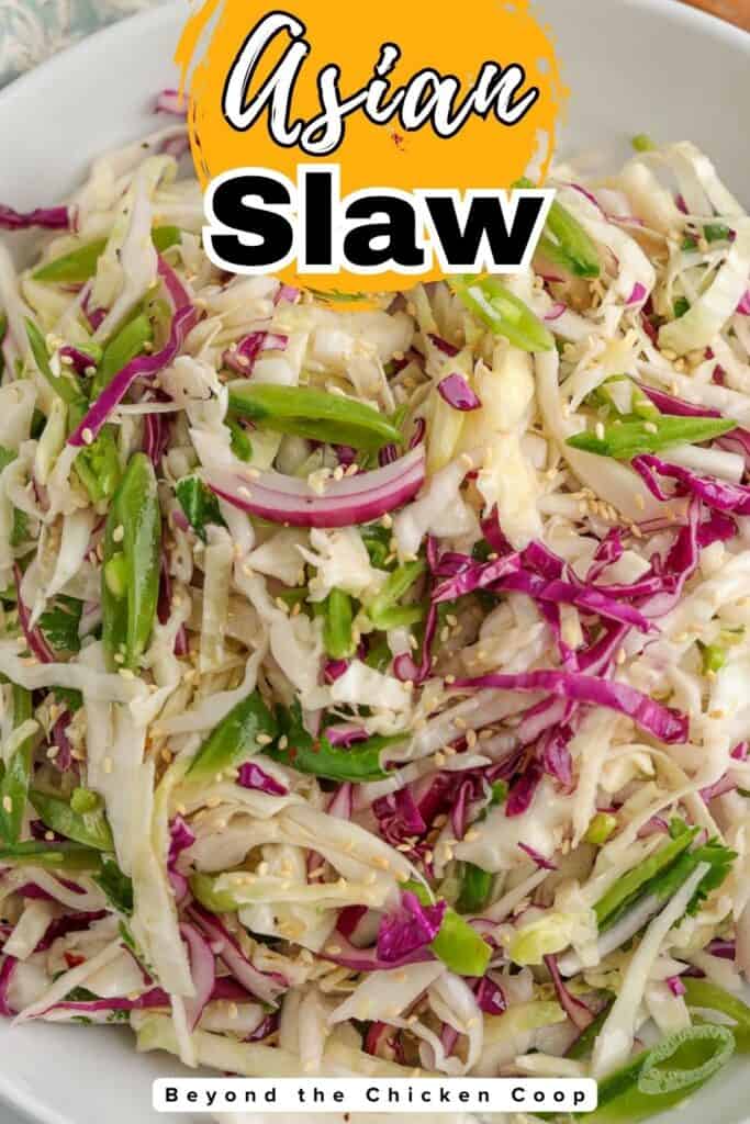 A cabbage salad with red and green cabbage.