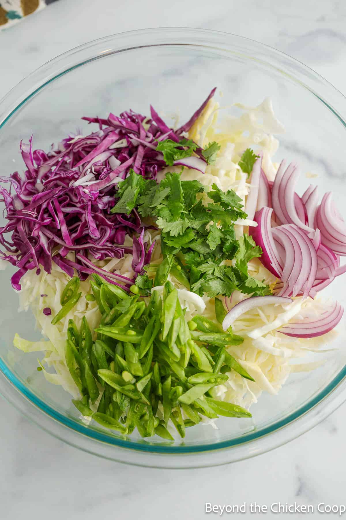 Sliced red and white cabbage, red onion, green peas, and cilantro in a bowl.
