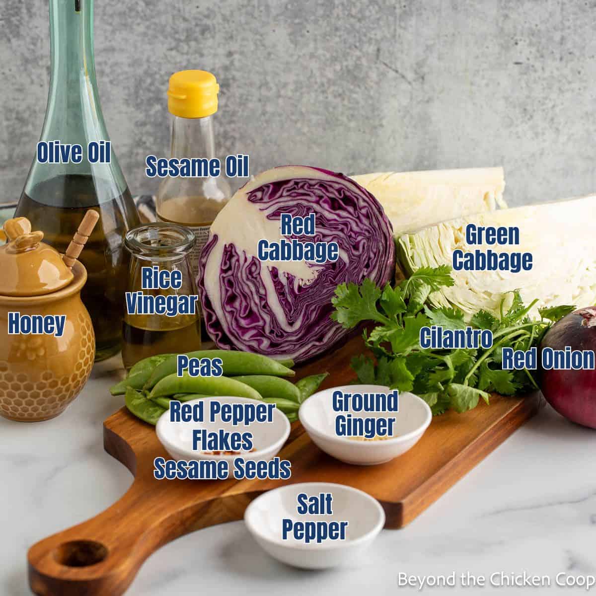 Cabbage, Onion, Cilantro, Oil, and Seasoning on a board.