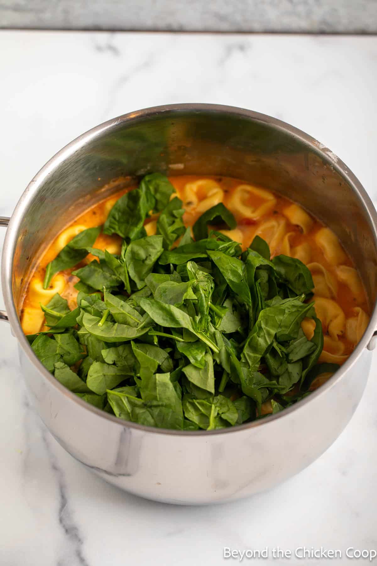 Fresh spinach on to of tortellini in a soup pot.